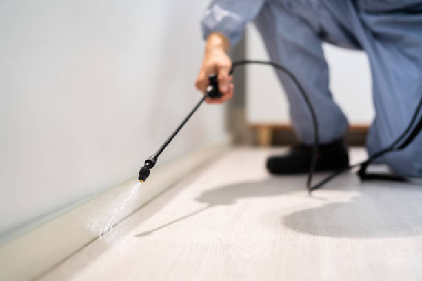 Bed Bug Pre-Treatment Preparation Assessment in Ashton-Sandy Spring
