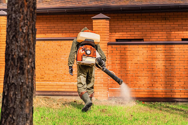 Bed Bug Clearance Verification and Documentation in Ashton-Sandy Spring